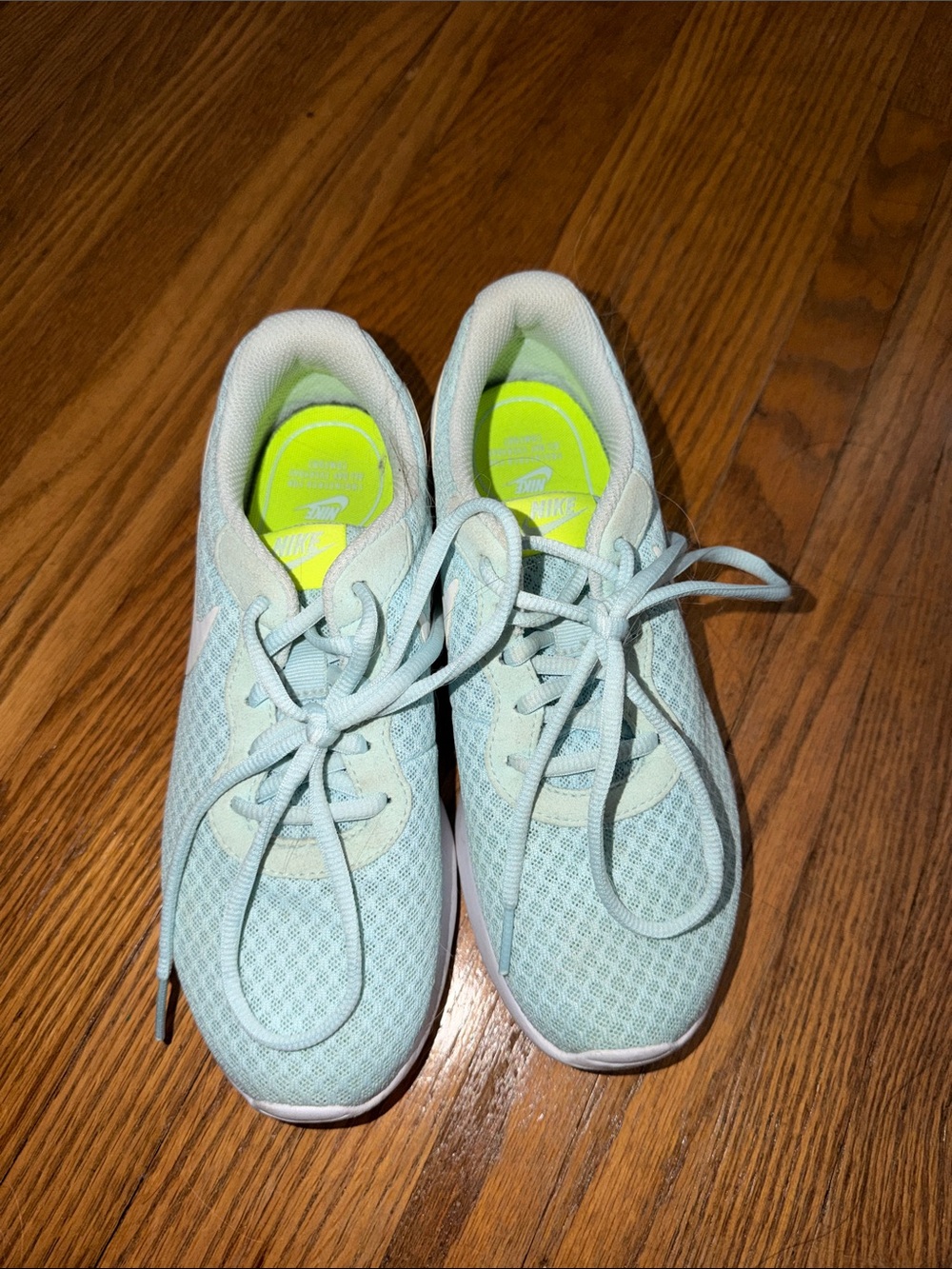 Nike Tanjun Sneakers